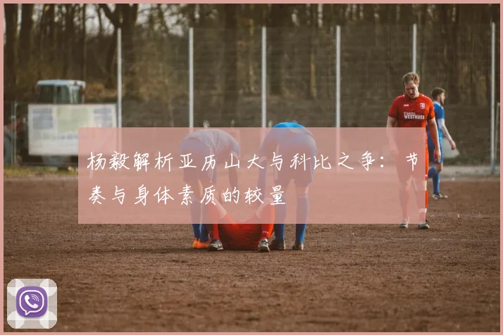 杨毅解析亚历山大与科比之争：节奏与身体素质的较量