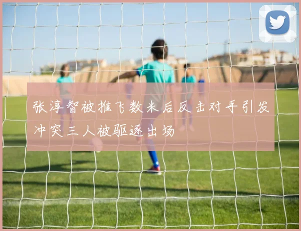 张淳智被推飞数米后反击对手引发冲突三人被驱逐出场